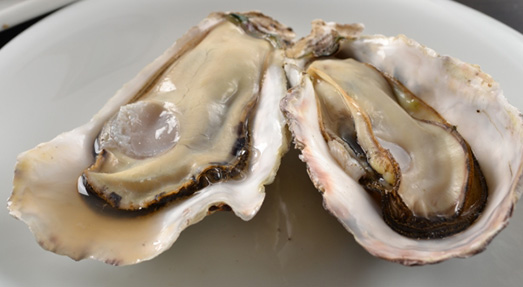oyster bar牡蛎场【厚岸】